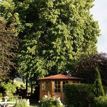 Hotel&spezialitätenrestaurant Zur Linde Hotel