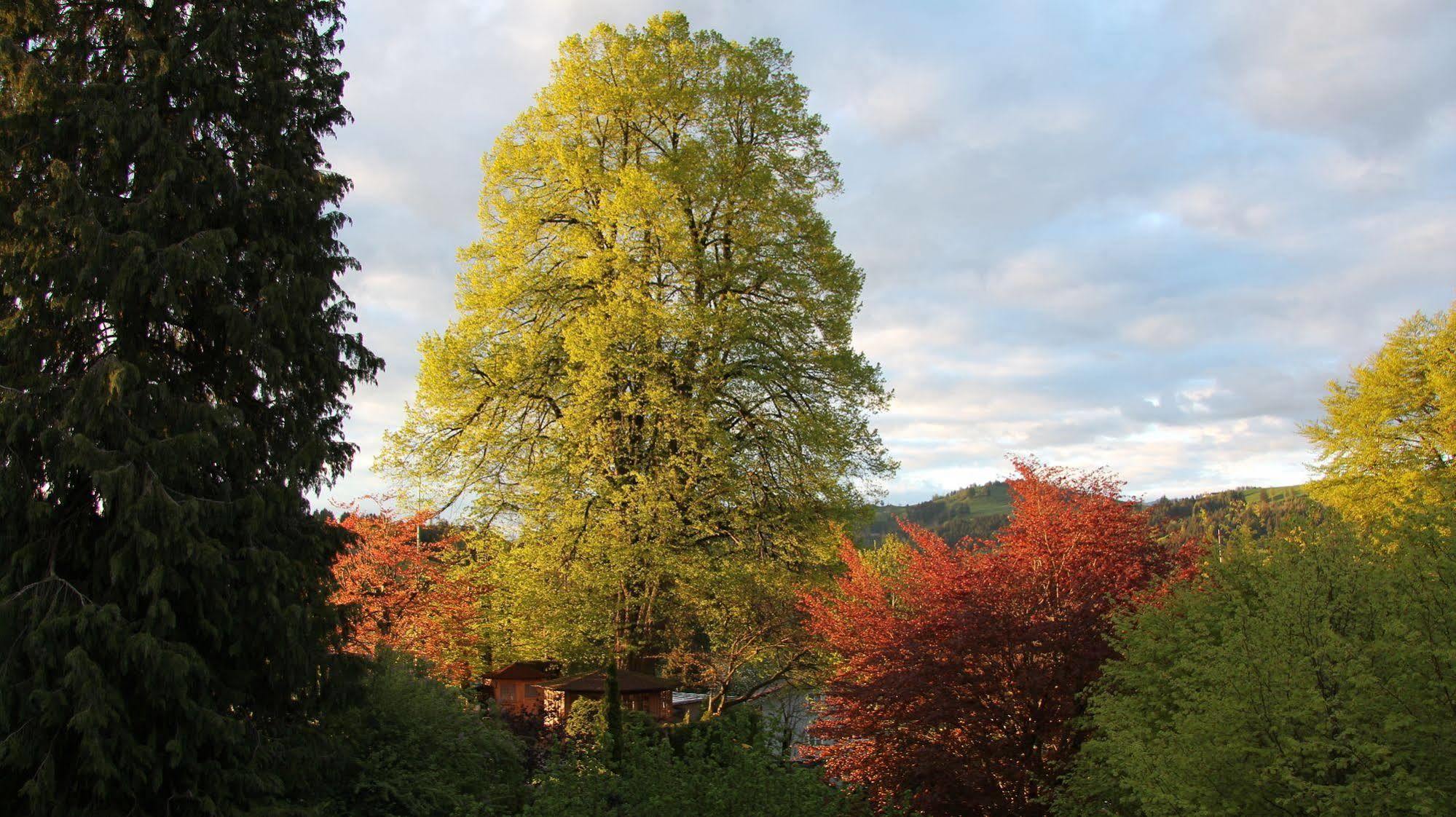 Hotel Hotel&spezialitätenrestaurant Zur Linde 3*